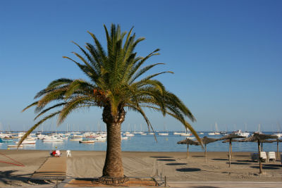 car hire spain