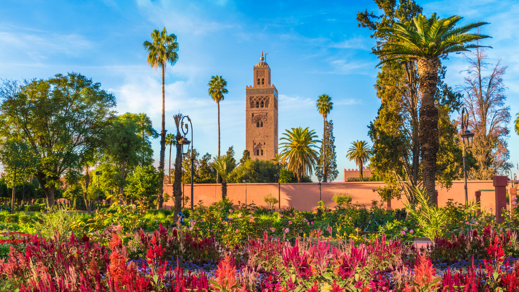 5 tips to drive in Marrakesh