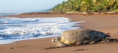 Kosta Rika Lokasyonlar